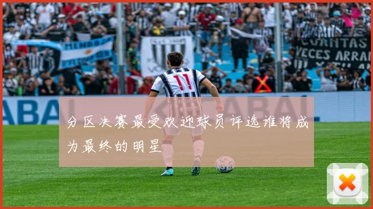 分区决赛最受欢迎球员评选谁将成为最终的明星