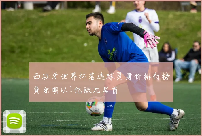 西班牙世界杯落选球员身价排行榜费尔明以1亿欧元居首